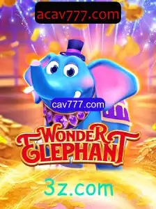 Descubra o Encantador Mundo de WonderElephant